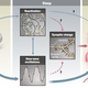 Image for article titled We May Finally Know Why Sleep Improves Memory